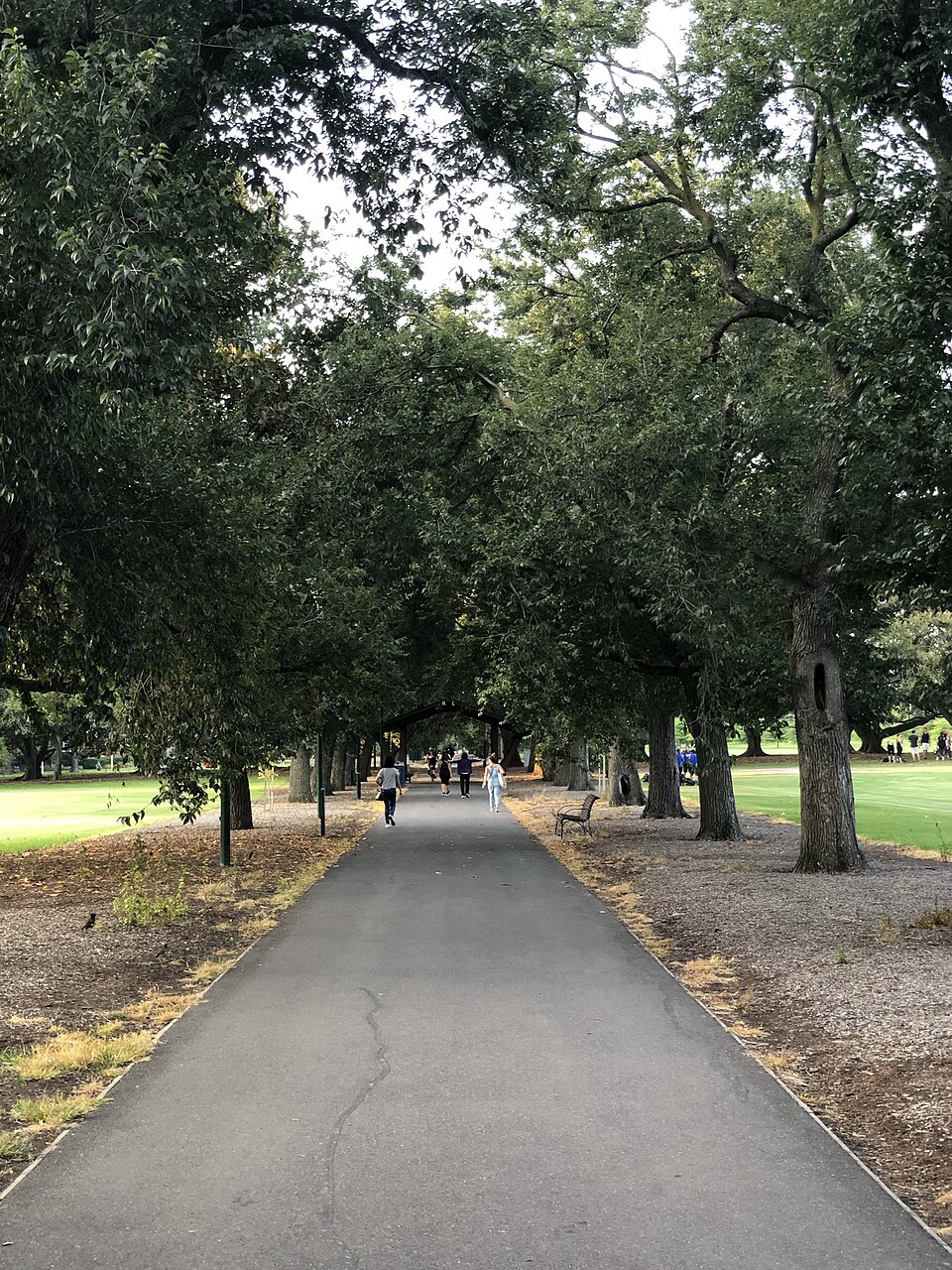 Prahran — open grass and trees