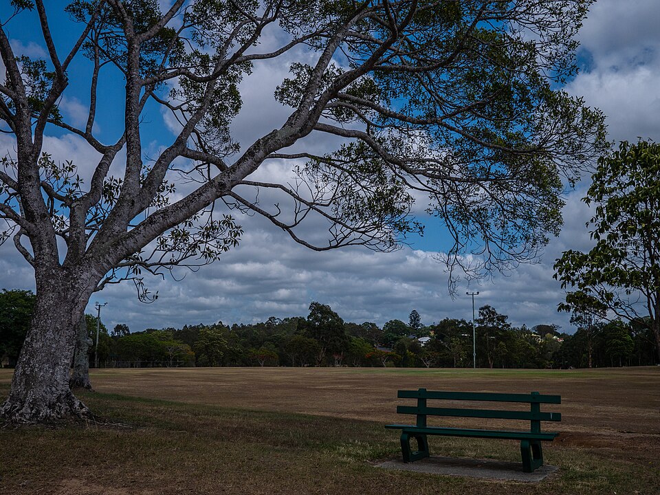 Brisbane east parkland — trees and open oval