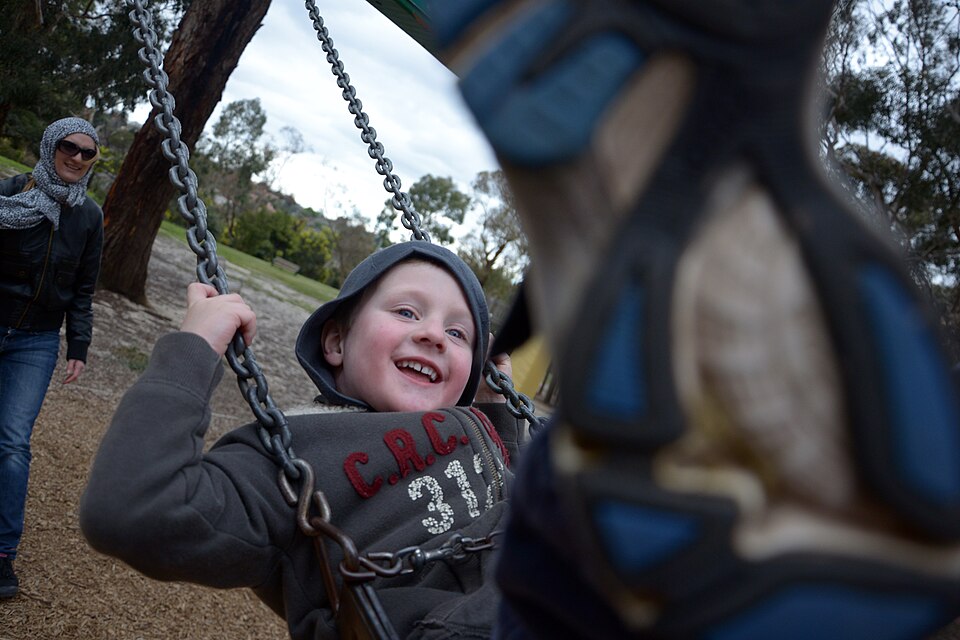 Wattle Park — open parkland