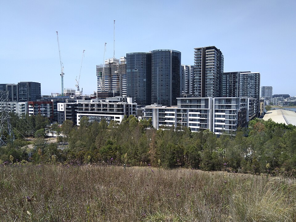 Wentworth Common area — Sydney Olympic Park open space