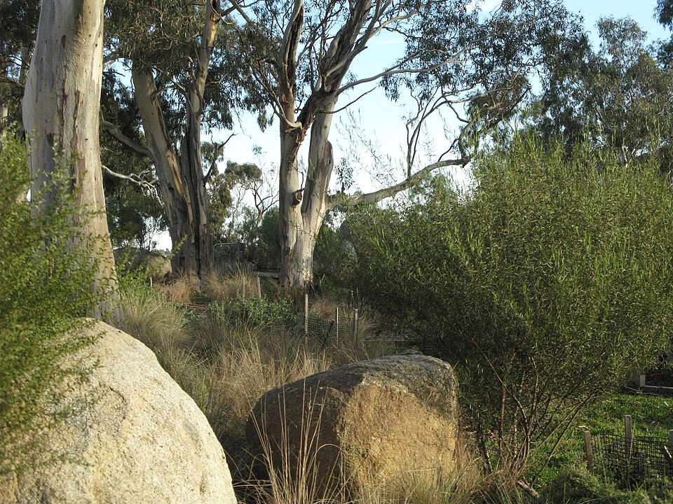Westerfolds Park — revegetation trails
