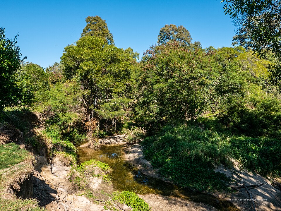 Brisbane park reserve — creek-side bushland