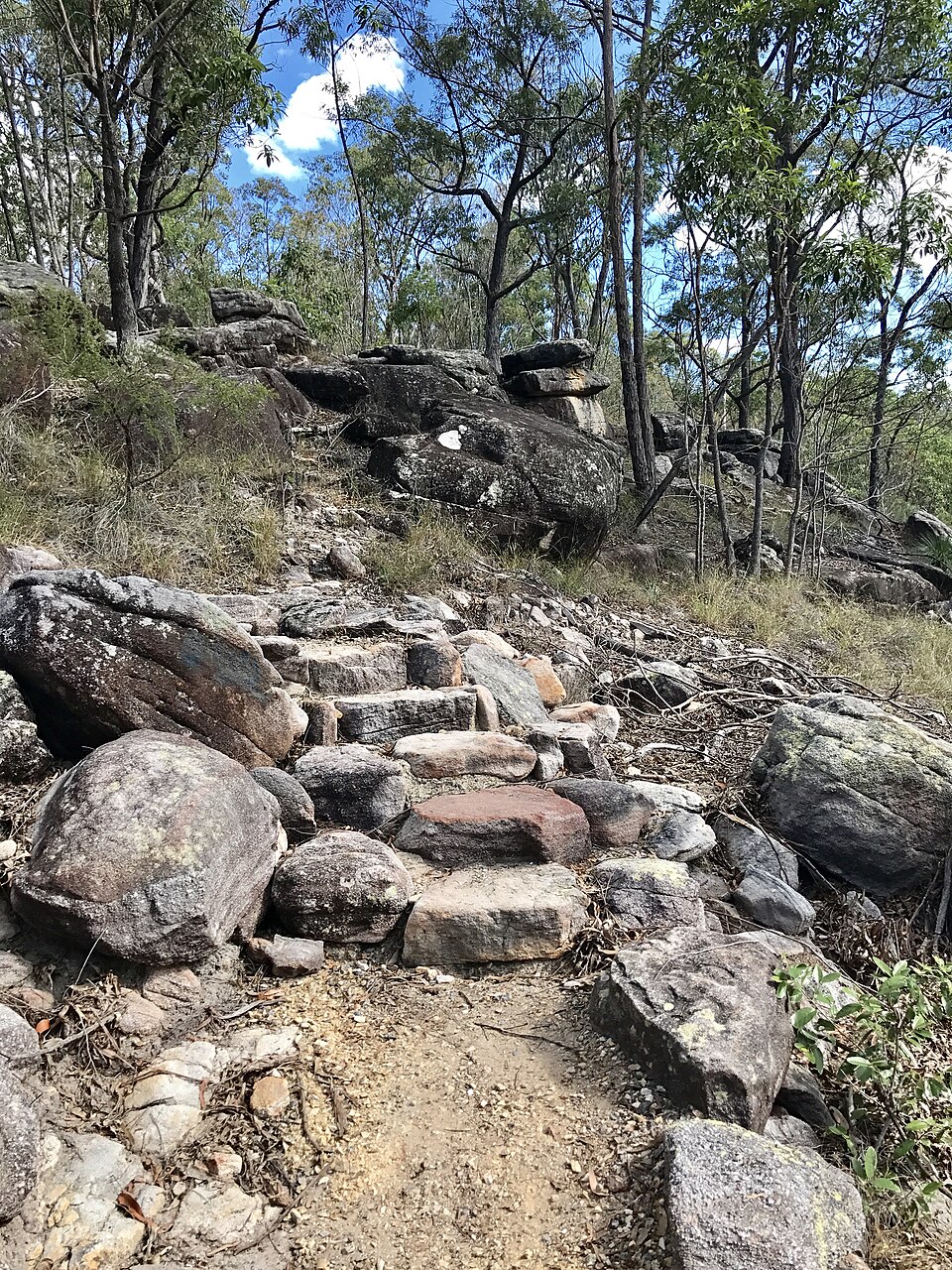 Plunkett Conservation Park — bush peak trail