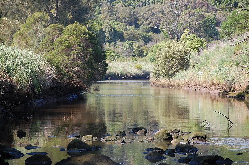 Wolli Creek — bush track and waterway