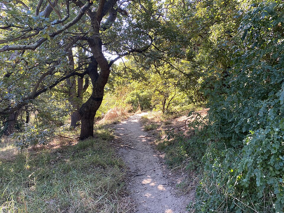 Yarra Bend Park — Kew / Fairfield area
